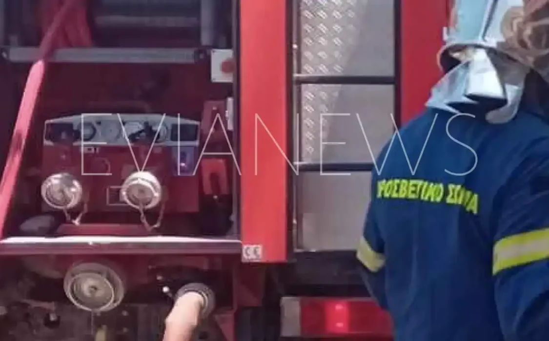 Νέα Εύβοια