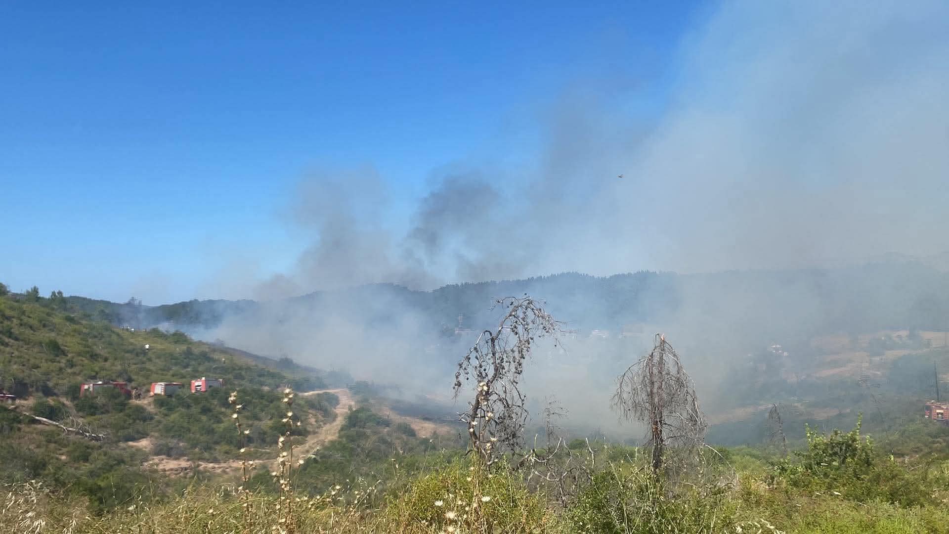 Καπνοί από δασική πυρκαγιά στην περιοχή Σπαθάρι Ευβοίας με πυροσβεστικά οχήματα στο βάθος