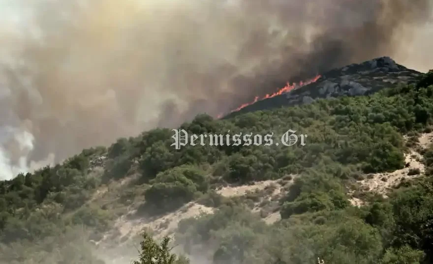 Φλόγες και πυκνός καπνός στην κορυφογραμμή του λόφου στον Μύτικα Θηβών κατά τη διάρκεια της πυρκαγιάς